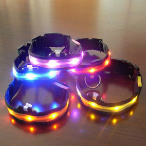 Nylon Anti-Lost LED Dog Collar