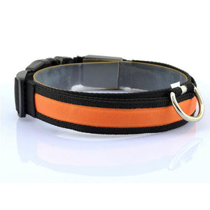 Nylon Anti-Lost LED Dog Collar