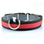 Nylon Anti-Lost LED Dog Collar