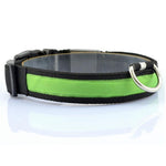 Nylon Anti-Lost LED Dog Collar