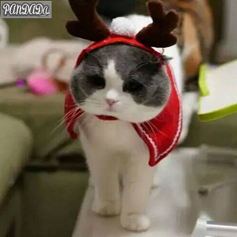 Cute Cat/Dog Christmas Cloak (with Antlers - Optional)