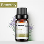 Essential Oils for Diffuser, Aromatherapy Oil Humidifier (6 Kinds of Fragrances)